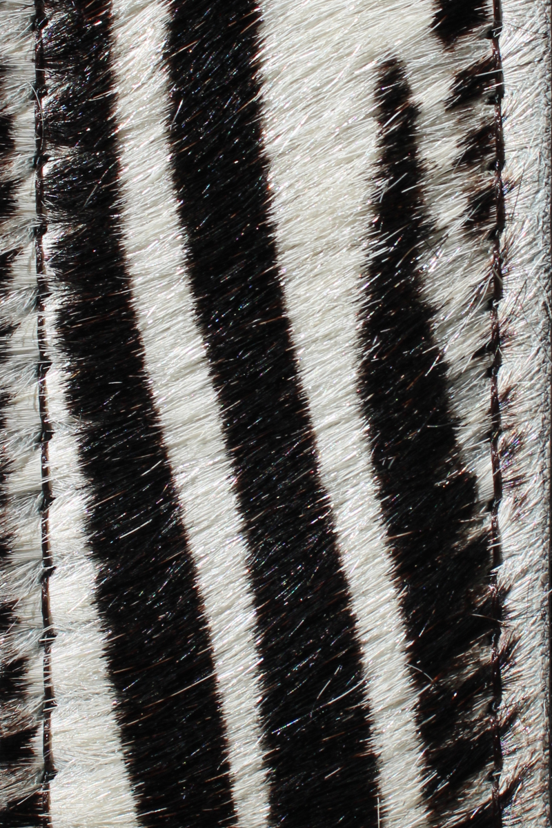 Cinto de Pele Padrão Zebra