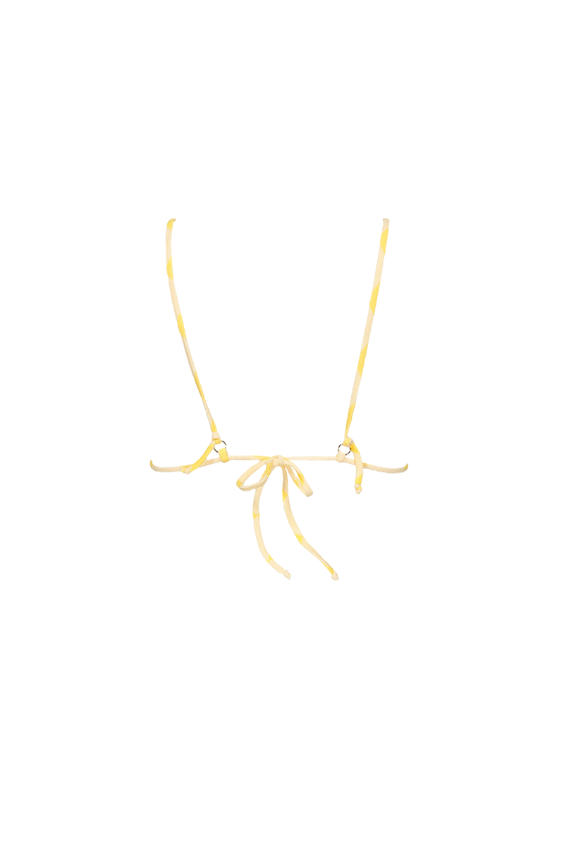 Top Kenya in Savannah