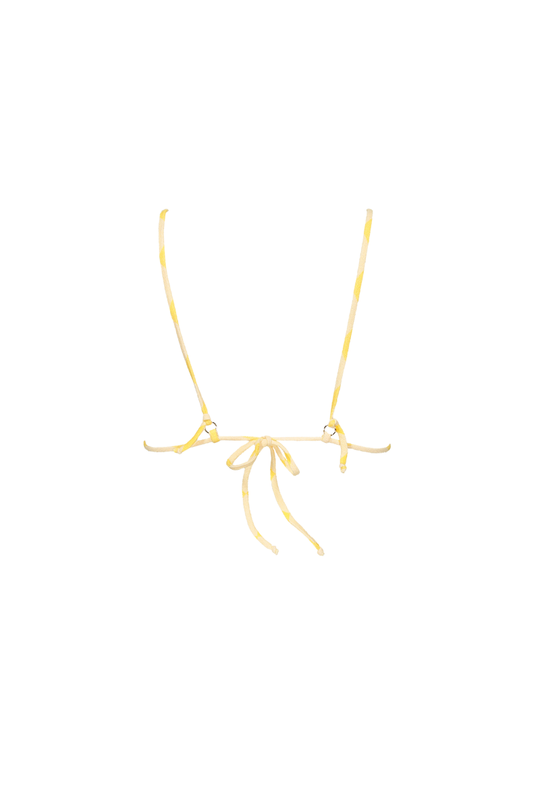 Top Kenya in Savannah