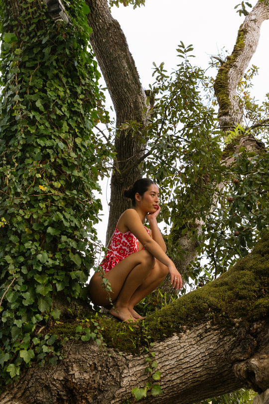 One Piece Kyoto in Sakura