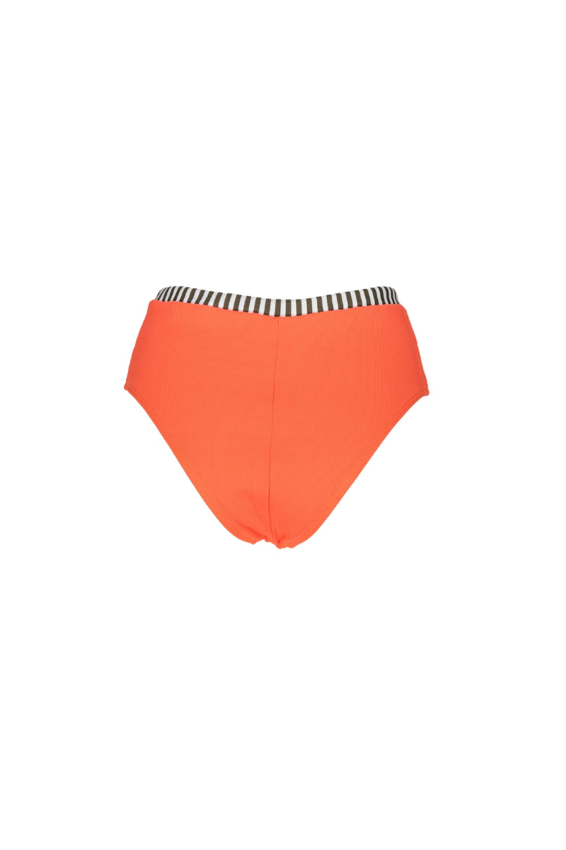 Bottom Fiji in Sunkissed